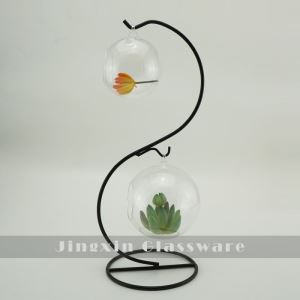 Vasă de sticlă de terariu pentru plante de aer suspendată